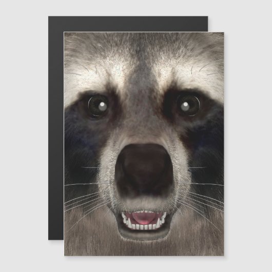 Raccoon (Front/Back)