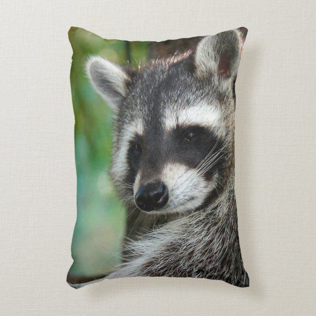 Raccoon 001 accent pillow (Front(Vertical))