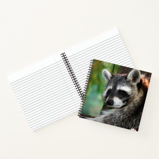Raccoon 001 notebook (Inside)