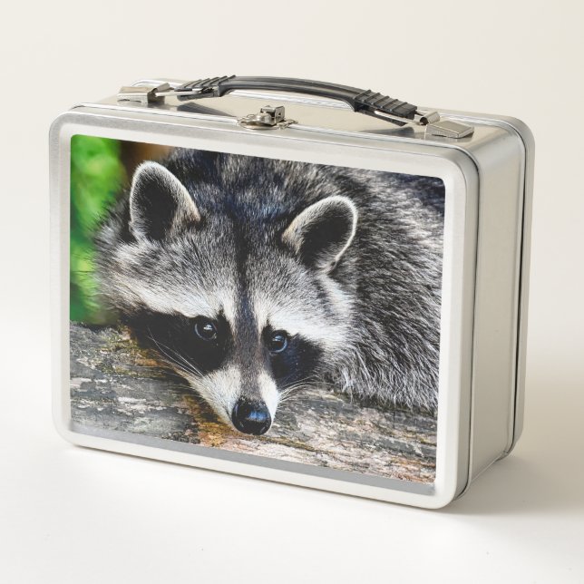 Raccoon 003 metal lunch box (Front)