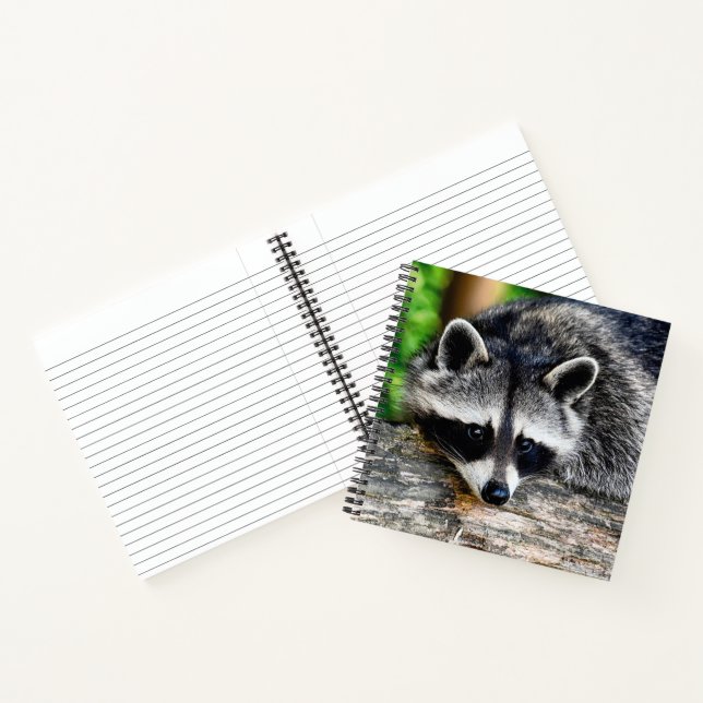 Raccoon 003 notebook (Inside)