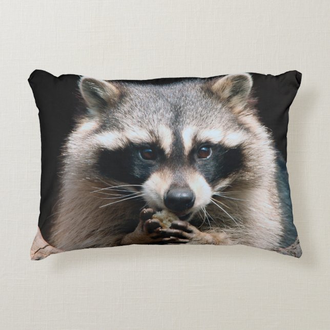 Raccoon 004 accent pillow (Front)