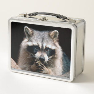 Raccoon 004 metal lunch box