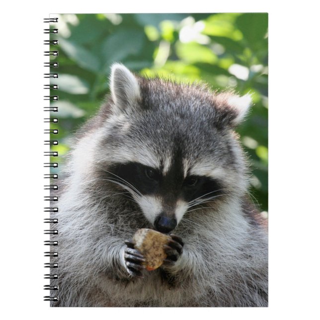 Raccoon 004 notebook (Front)