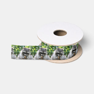 Raccoon_2014_1201 Satin Ribbon
