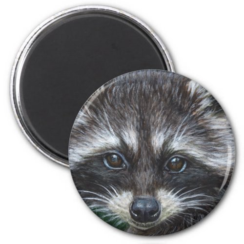 Raccoon 3 magnet