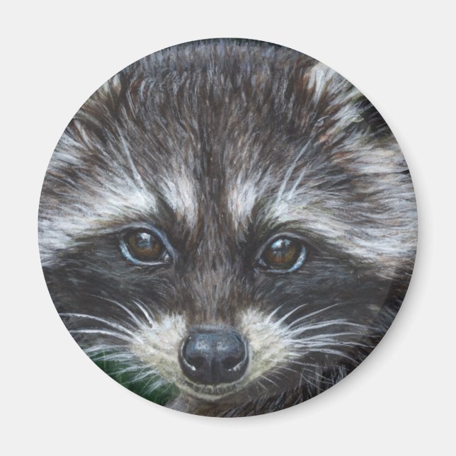 Raccoon #3 magnet (Front)
