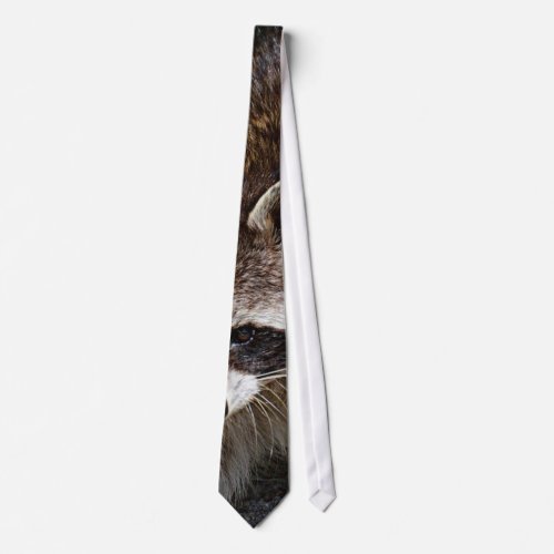 raccoon 415P Neck Tie