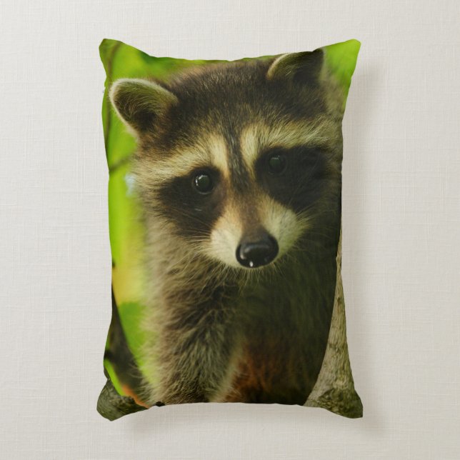 raccoon accent pillow (Front(Vertical))
