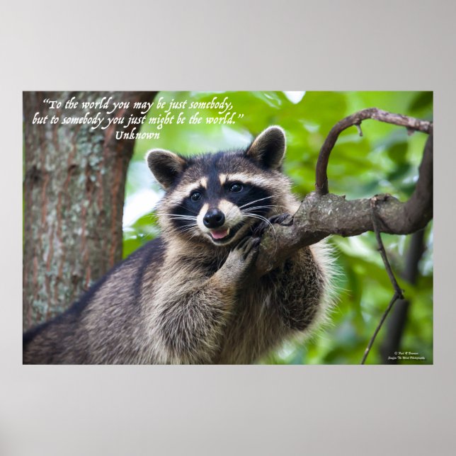 Raccoon and Encouragement Poster (Front)
