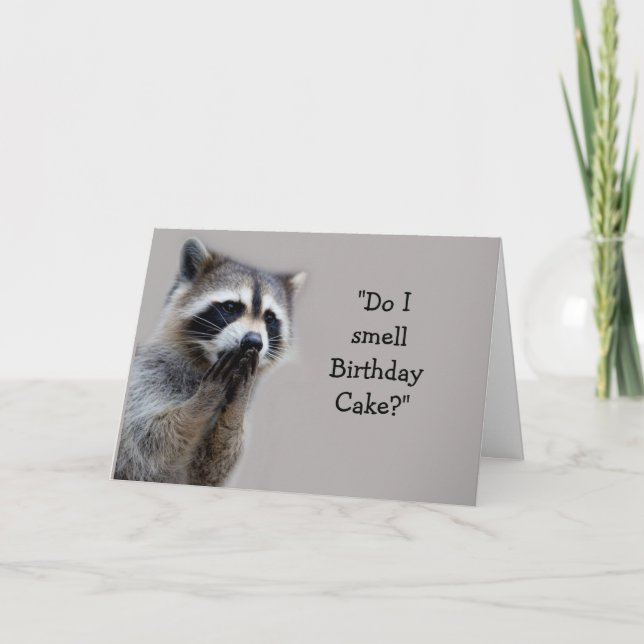 Raccoon Animal Humor Birthday Cake Fun Card (Front)