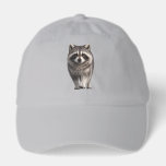 Raccoon