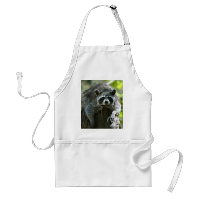 Raccoon Aprons (Front)