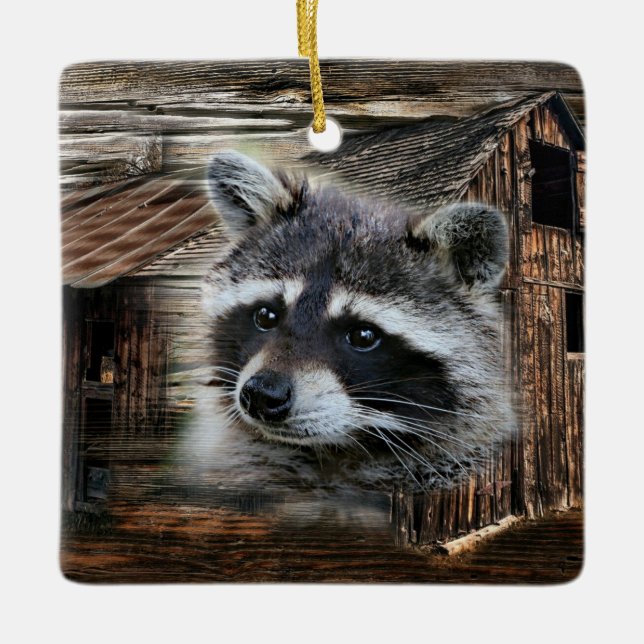 Raccoon At The Old Barn Ceramic Ornament (Front)