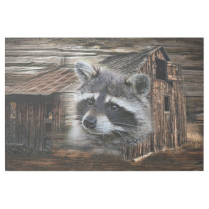 Raccoon At The Old Barn Gallery Wrap