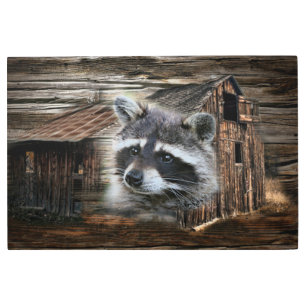 Raccoon At The Old Barn Metal Print