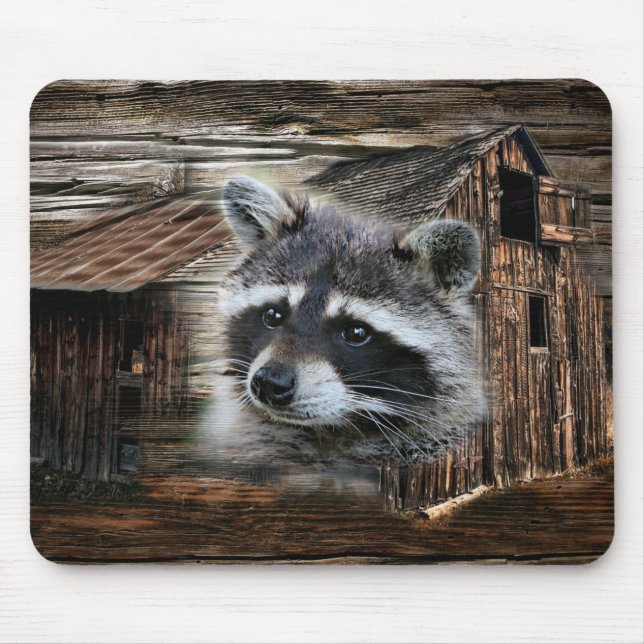 Raccoon At The Old Barn Mouse Pad (Front)