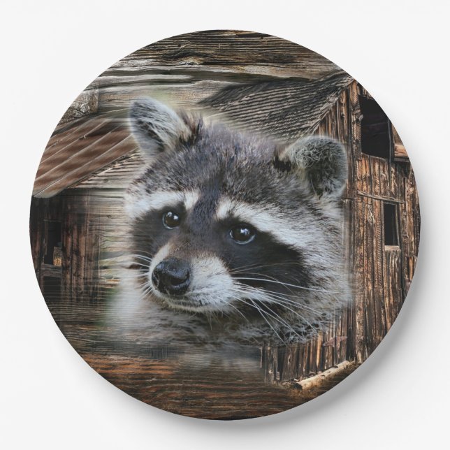 Raccoon At The Old Barn Paper Plates (Front)