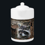 Raccoon At The Old Barn Teapot<br><div class="desc">Racoon</div>