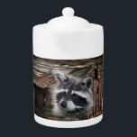 Raccoon At The Old Barn Teapot<br><div class="desc">Racoon</div>