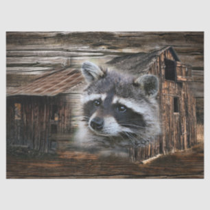 Raccoon At The Old Barn Tissue Paper
