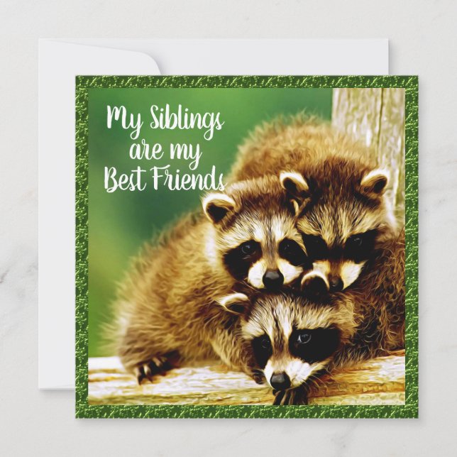 Raccoon Babies - Siblings Best Friends Card (Front)