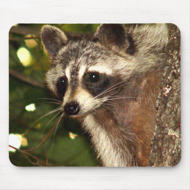 Raccoon "Bandit" Mousepad (Front)