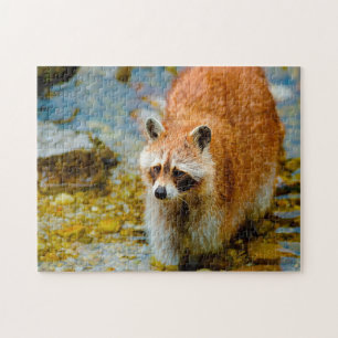 Raccoon Bears. Jigsaw Puzzle
