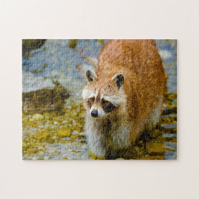 Raccoon Bears. Jigsaw Puzzle (Horizontal)