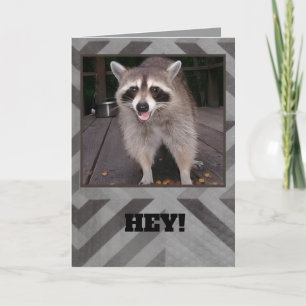Raccoon Birthday card for Adults or children.   
