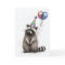 Raccoon Birthday Party Folded Greeting Card