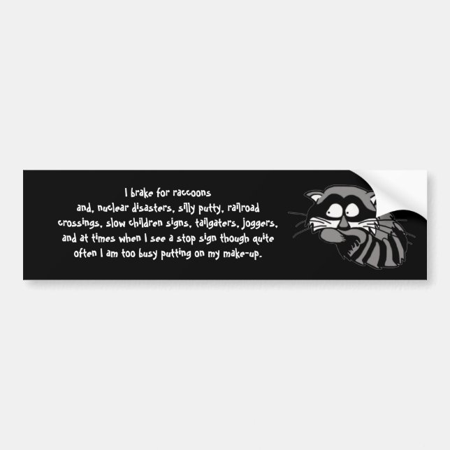 Raccoon Bumper Sticker (Front)