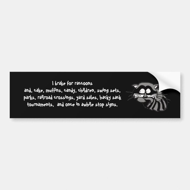 Raccoon Bumper Sticker (Front)