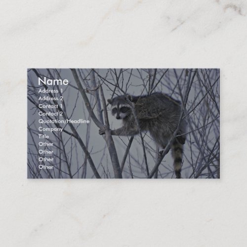 Raccoon Business Card Template