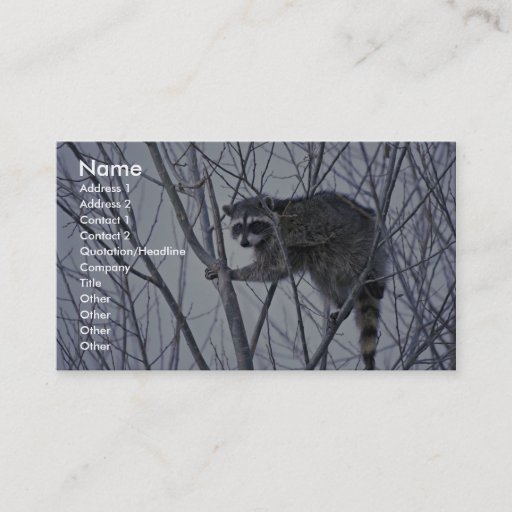 Customizable Raccoon Business Card Template
