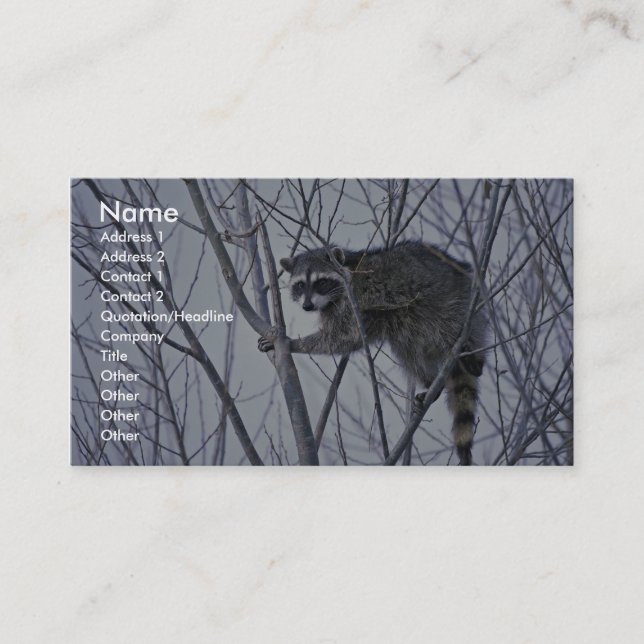 Raccoon Business Card (Front)