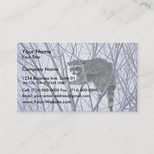 Raccoon Business Card (Front)