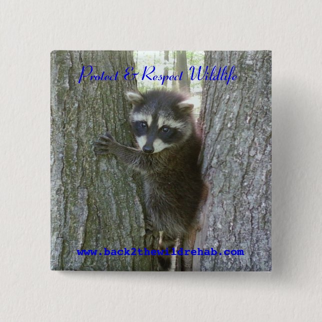Raccoon Buttoon Button (Front)
