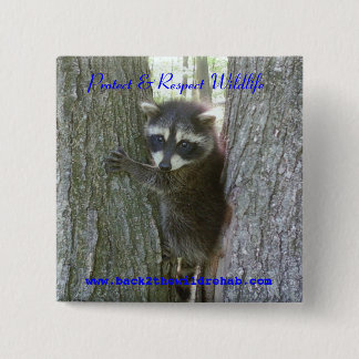 Raccoon Buttoon Button