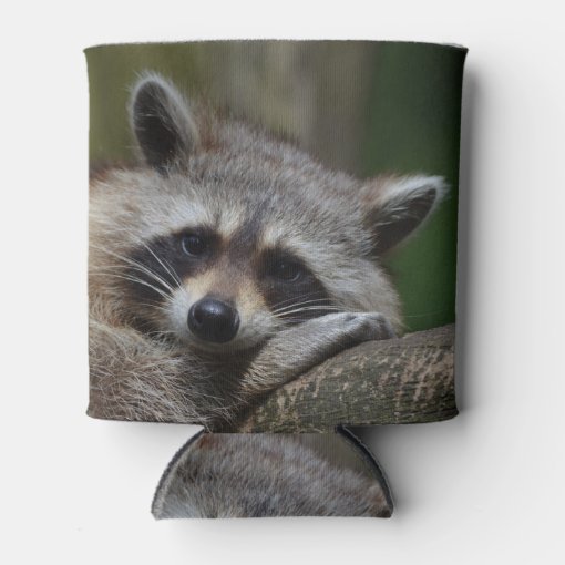 Raccoon Can Cooler Zazzle