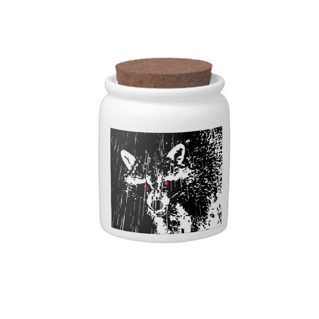 Raccoon Candy Jar (Front)