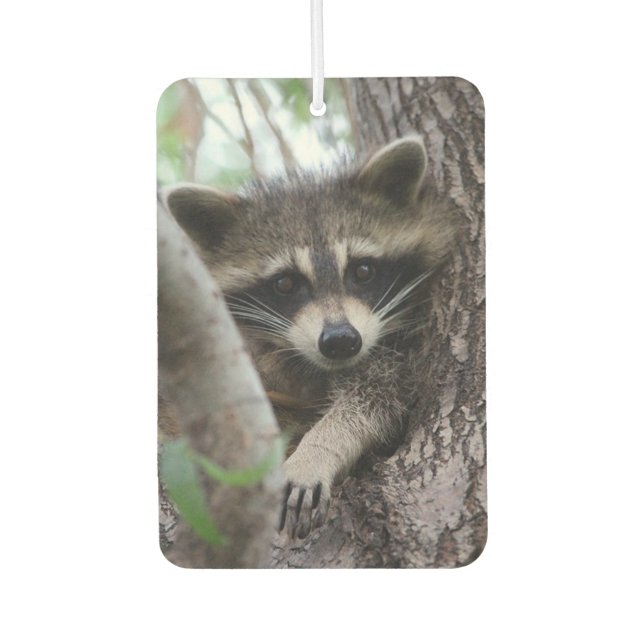 Raccoon Car Air Freshener (Front)