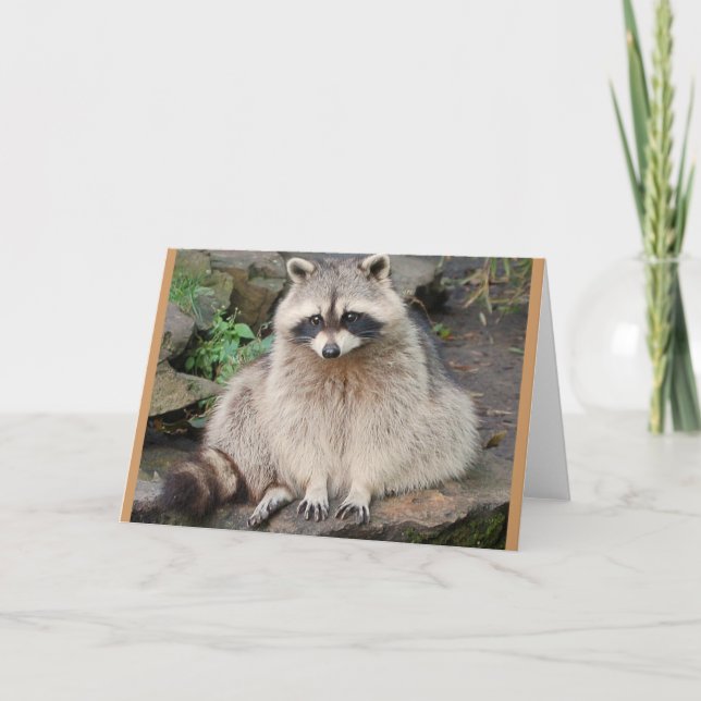 Raccoon Card (Front)