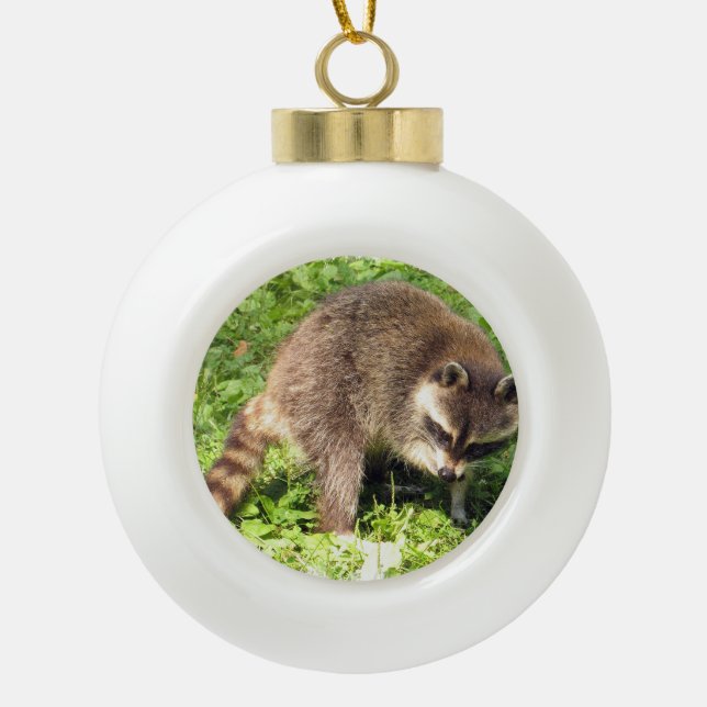 Raccoon Ceramic Ball Christmas Ornament (Front)