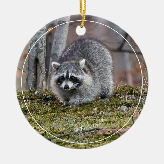 Raccoon Ceramic Ornament (Front)