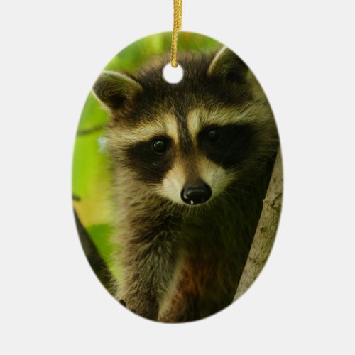 raccoon ceramic ornament