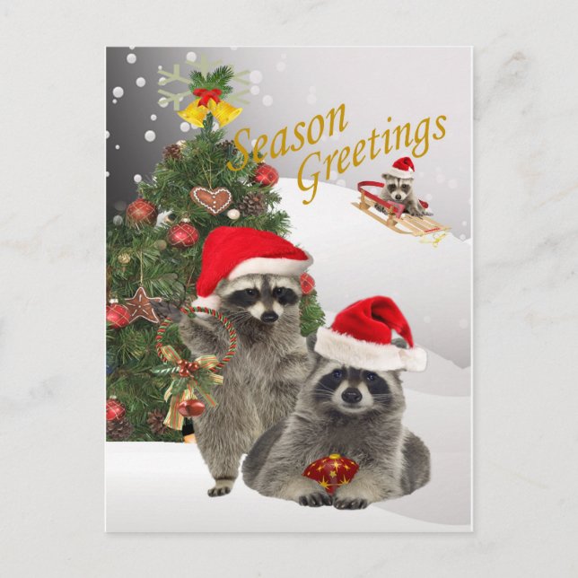 Raccoon Christmas A Time For Fun Holiday Postcard (Front)