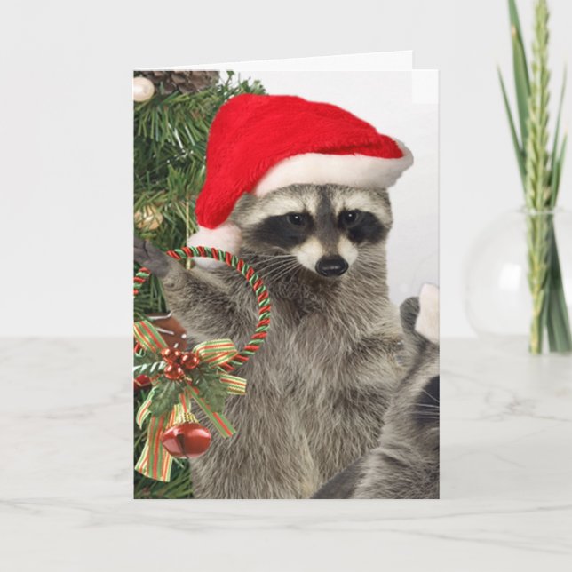 Raccoon Christmas Celebration Holiday Card (Front)