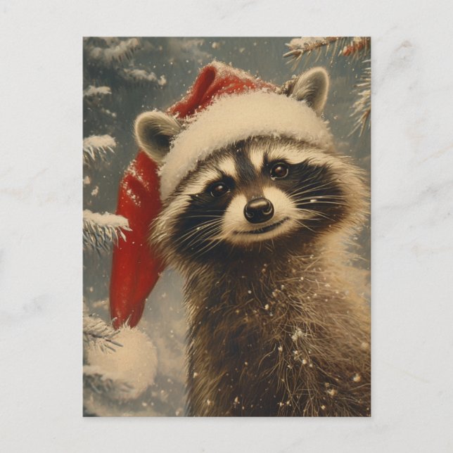 Raccoon Christmas  Postcard (Front)