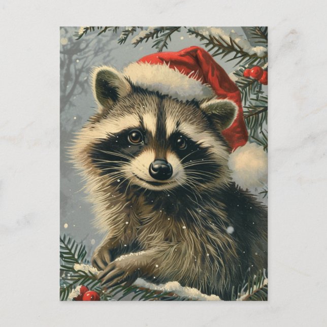 Raccoon Christmas Postcard (Front)